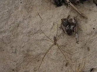 alternativní popis obrázku chybí