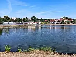 Holoubkov od rybníka