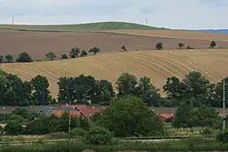 Vrch Cikán u Holubic