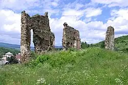 Holumnický hrad