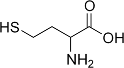 Chemická struktura homocysteinu