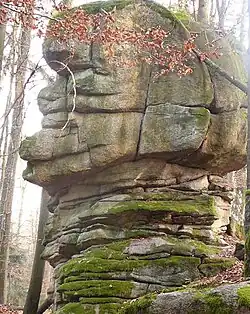 Lavicovitě uspořádané skalnaté sutě Homolky