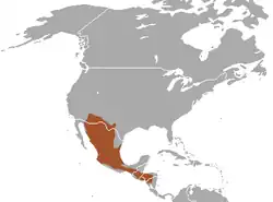 Rozšíření skunka dlouhoocasého