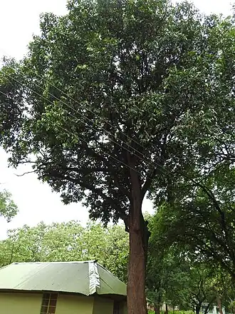 alternativní popis obrázku chybí