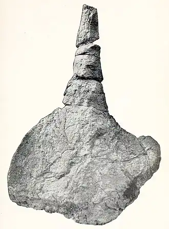 alternativní popis obrázku chybí