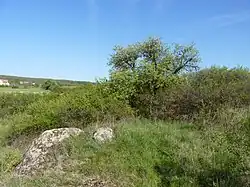 Horáčkův kopeček na jaře 2012