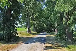 Lipová alej k Svaté Anně