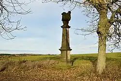 Hora Svatého Šebestiána 2020-11-02 Sloup Nejsvětější Trojice.jpg