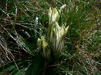 alternativní popis obrázku chybí