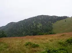 vrchol ze severní strany