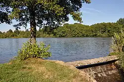 Potok na výtoku z rybníka Zlatuška