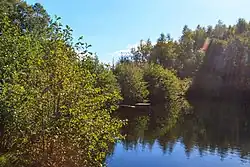 Horní Chotovický rybník