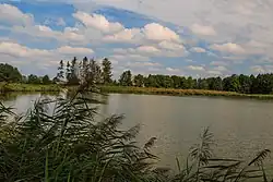 Horní Heřmanický rybník