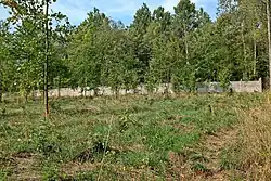 Pozůstatek ohradní zdi bývalého pohraničního útvaru