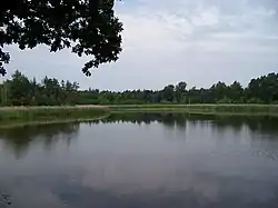 Rybník Hanzlíkovec, pohled z hráze