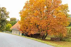 Horní Lhotka čp. 13