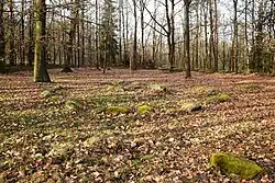 Horní Lomany Žírovické pohřebiště leden 2025 (1).jpg