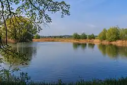 Horní rybník u Veselí u Přelouče