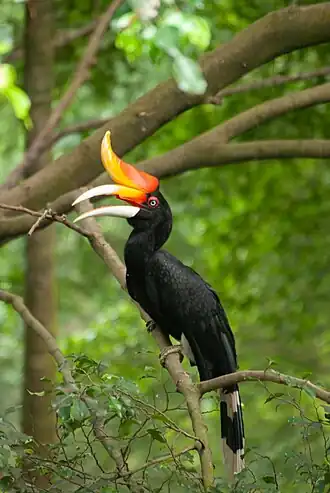 alternativní popis obrázku chybí