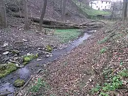 Potok pod vodopádem (počátek dubna 2016).