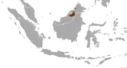 Areál rozšíření