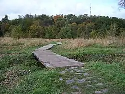 Les na kopci Horka nad poldrem Čihadla