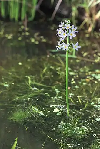 alternativní popis obrázku chybí