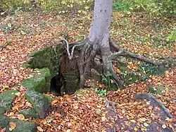 Houska, zbytky kostela (01).jpg