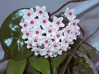 alternativní popis obrázku chybí