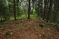 terénní pozůstatky