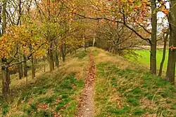 hráz zaniklého rybníka Rozkoš u Lázní Bohdaneč