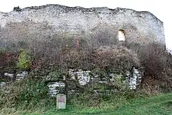 Hrad, zřícenina (Lanšperk).jpg