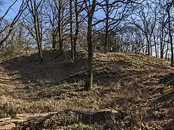 Hrad Frumštejn (u Hunčic) (20).jpg