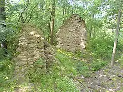 Zřícenina hradu Pušperk