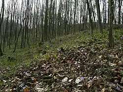 Hrad Rotemberk - návrší.jpg