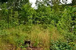 Hrad pod Hrnčířem 2014 Jádro.jpg