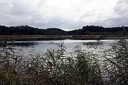 Hradčanský rybník