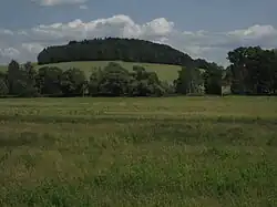 vrch Hradec (Astberg) z nivy Smědé u Předlánců