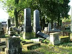 Hradec Králové, židovský hřbitov.jpg