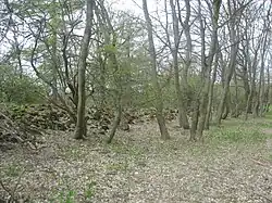 Valy na vrcholu Hradišťan