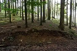 pozůstatky valů hradiště