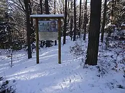 Hradiště Loučná - Saň (4).jpg