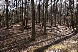 Hradiště Staré zámky u Doubravčic a Kozojed (3).jpg