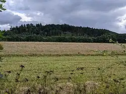 Hradiště U Svaté Anny - celkový pohled od samoty U Masáka (2).jpg