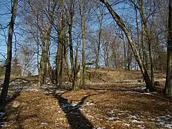 Hradiště u Březiny 04.JPG