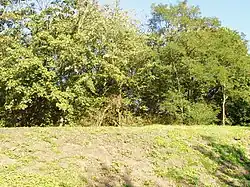 Hradiště u Bořetic 2.JPG