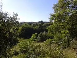 Hradisko Radslavice ze silnice