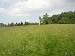 Hradišťanská louka