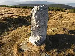 Hraniční kámen v Malé Morávce na Pradědu (Q37817726) 01.jpg