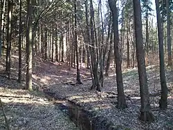 Hraniční potok na státní hranici